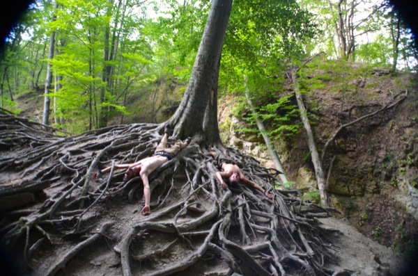 11/8/14 – Spent a while being a tree. Pretty uncomfortable