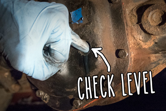 check-and-fill-rear-differential-oil-check-level