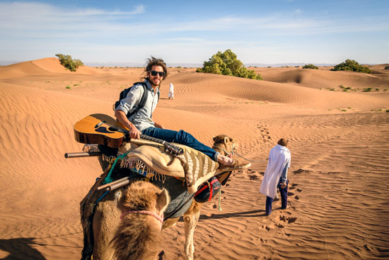 morocco-by-campervan-sahara-desert-camel