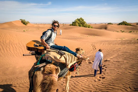 morocco-by-campervan-sahara-desert-camel