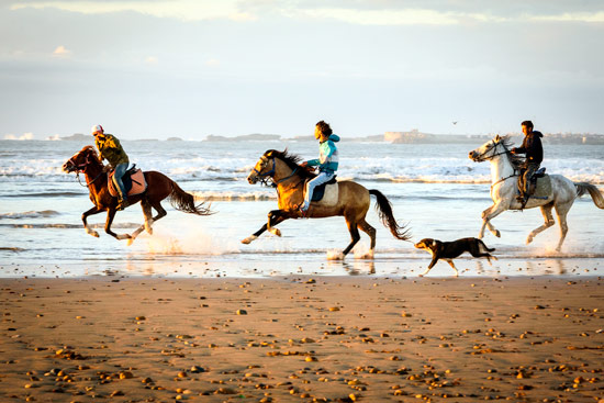 reasons-to-come-to-morocco-campervan-horses-beach